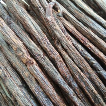 Gousses de vanille rouges de Madagascar