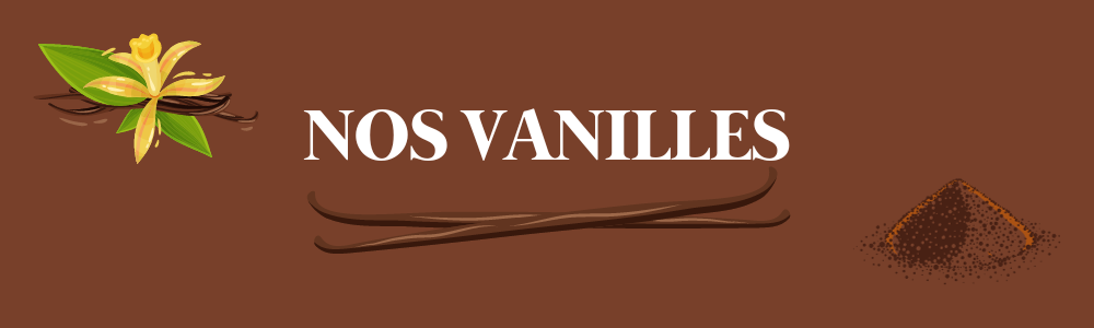 gousse et poudre vanille gourmet madagascar