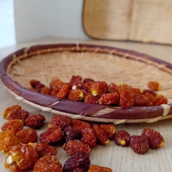 physalis séché madagascar