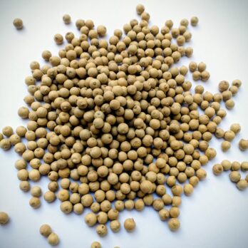 poivre blanc de madagascar